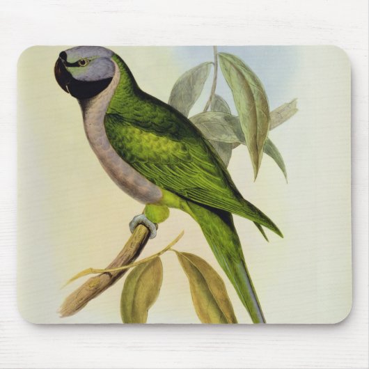 インコ: Palaeornis Derbianus、c.1850 マウスパッド (正面)