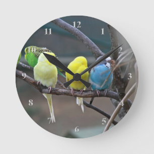 インコBudgiesは鳥の明るい鳥の恋人をオウム返しします ラウンド壁時計