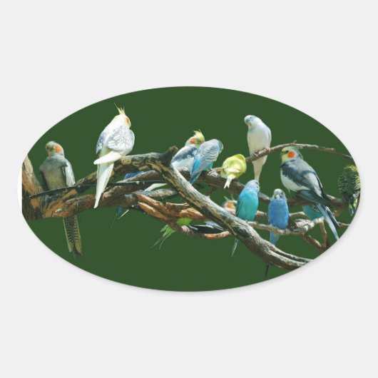 インコNのCockatiels 楕円形シール (正面)