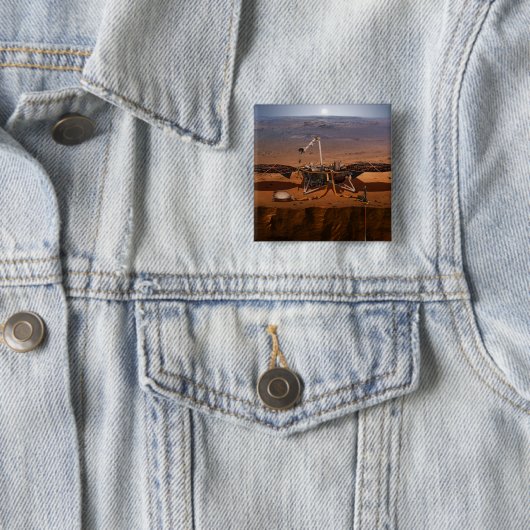 インサイトランダー 缶バッジ (インサイチュ)