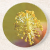 インサイドアイエローハワイアンハイビスカス コースター (正面)