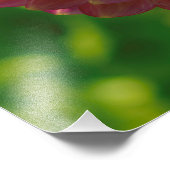 インザダリアガーデン1 フォトプリント            (角)