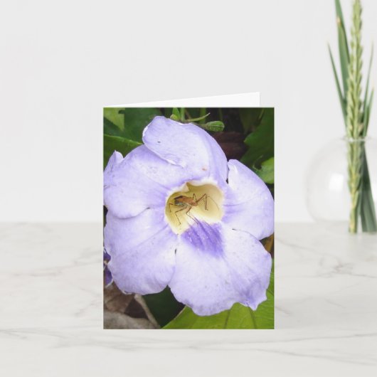 インシェストインレジデンスフローラカードv2 カード (正面)