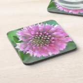 インジガルティゲローザブリュテ コースター (左側)