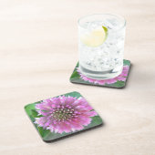 インジガルティゲローザブリュテ コースター (右側)