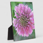 インジガルティゲローザブリュテ フォトプラーク (側面)