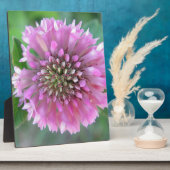 インジガルティゲローザブリュテ フォトプラーク (側面)