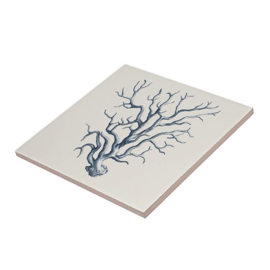 インジゴサンゴ タイル (側面)