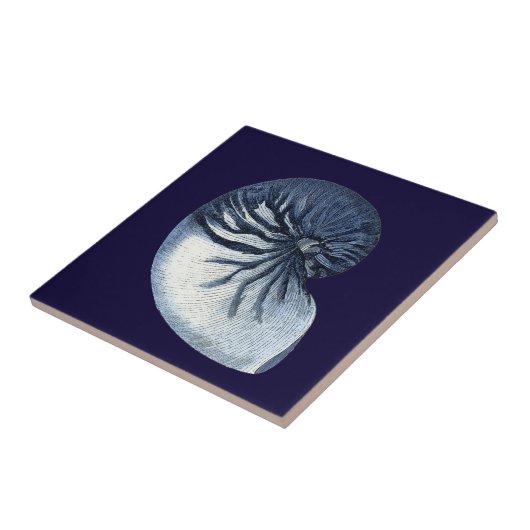 インジゴシェルVII タイル (側面)