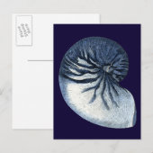 インジゴシェルVII ポストカード (正面/裏面)