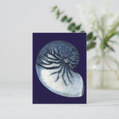 インジゴシェルVII ポストカード (スタンド正面)