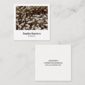 インスタントフォトスタイル-デイジー スクエア名刺 (正面/裏面)