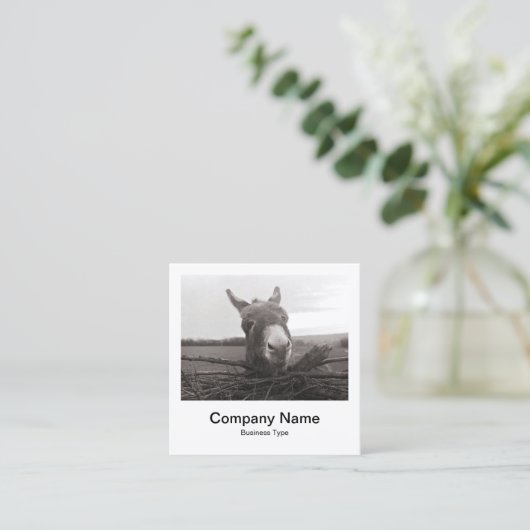 インスタントフォトスタイル – 会社 – Donkey スクエア名刺 (スタンド正面)