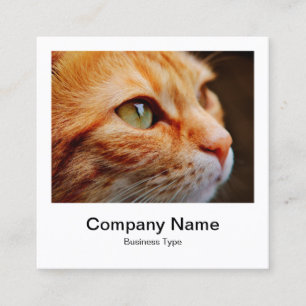 インスタントフォトスタイル – 会社 – Ginger Cat スクエア名刺
