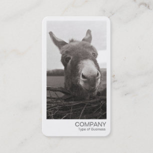 インスタントフォトフレンドリー- Donkey 名刺