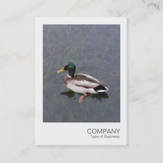 インスタントフォト012 - Mallard Duck 名刺 (正面)