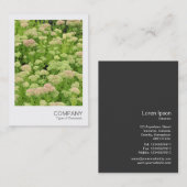インスタントフォト058 - Sedum (Autumn Joy) 名刺 (正面/裏面)