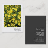 インスタントフォト084 – 黄色のデイジー 名刺 (正面/裏面)