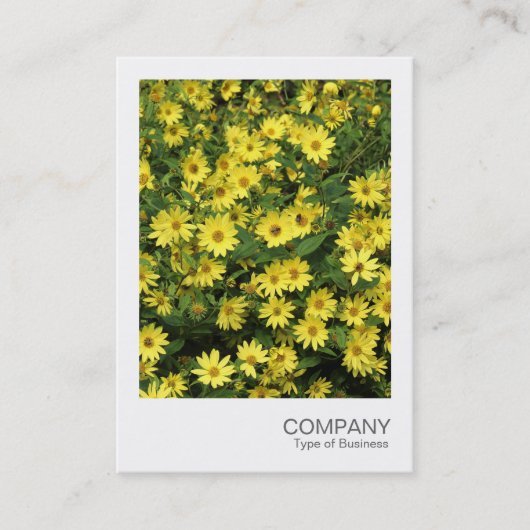 インスタントフォト084 – 黄色のデイジー 名刺 (正面)