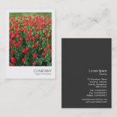 インスタントフォト086 – 赤チューリップ01 名刺 (正面/裏面)