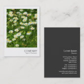 インスタントフォト091 -デイジー草原 名刺 (正面/裏面)