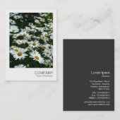 インスタントフォト09 -シャスタデイジー 名刺 (正面/裏面)