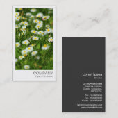 インスタントフォト – デイジー草原 名刺 (正面/裏面)