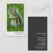 インスタントフォト – 灰色リスの驚き 名刺 (正面/裏面)