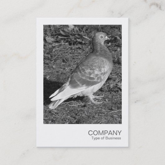 インスタントフォト – Pigeon BW 名刺 (正面)