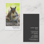 インスタントフォト – Squirrel 名刺 (正面/裏面)