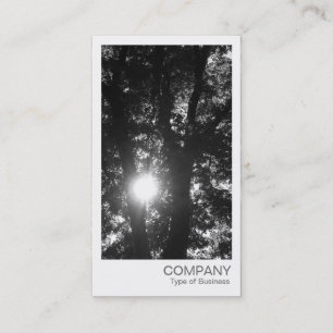 インスタントフォト – Sun Through the Trees BW 名刺