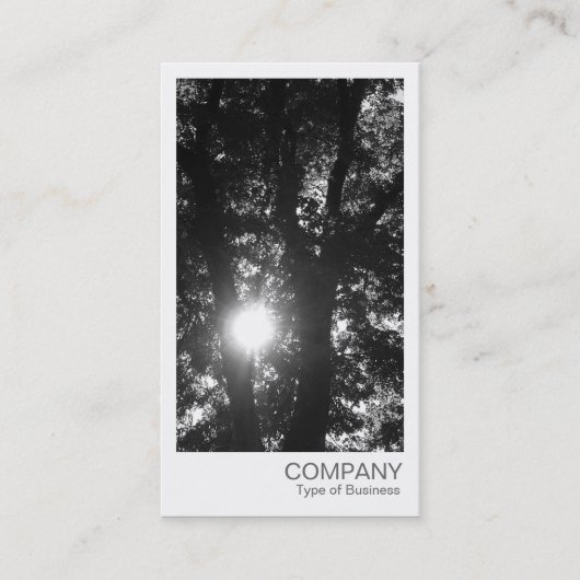 インスタントフォト – Sun Through the Trees BW 名刺 (正面)