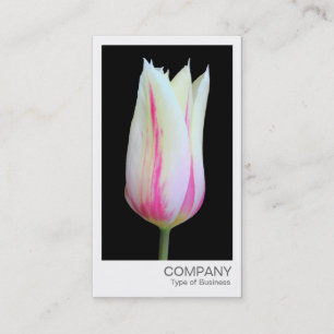 インスタントフォト – Tulip 名刺
