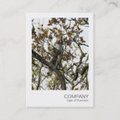 インスタント写真01 -木にリス 名刺 (正面)