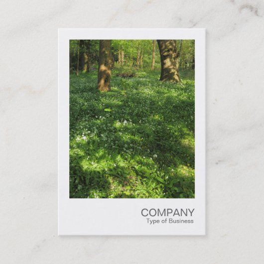 インスタント写真073 – 森の春 名刺 (正面)