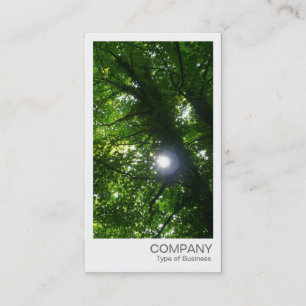 インスタント写真 – Sun Through the Trees 名刺
