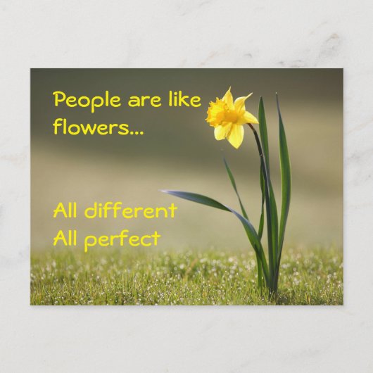 インスパイアはがき。花 ポストカード (正面)