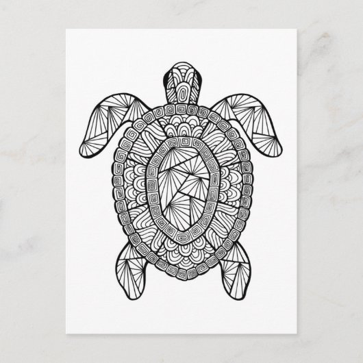 インスパイア亀 ポストカード (正面)