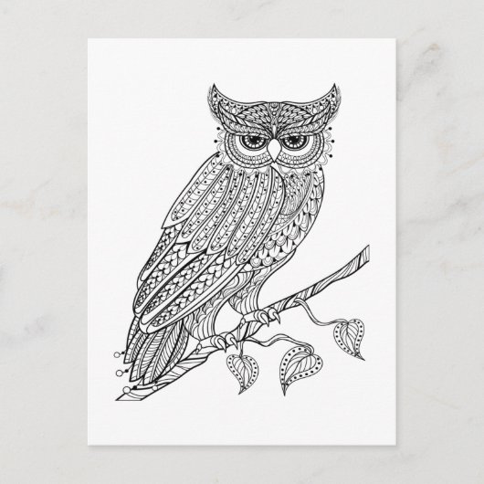 インスパイア魔法フクロウが枝に座る ポストカード (正面)