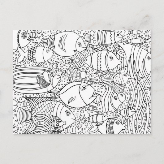 インスパイア魚群 ポストカード (正面)
