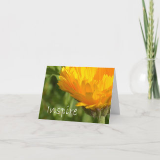 インスパイア カード