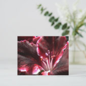 インスパイアGeraniumはがき ポストカード (スタンド正面)