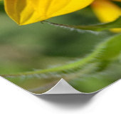 インスパイアJoy Sunflowerポスター ポスター (角)