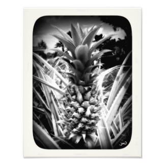 インスピレーションの閃光 フォトプリント           