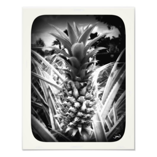 インスピレーションの閃光 フォトプリント            (正面)