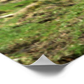 インスピレーションインディラガンジー引用文wトラインスパイアイズ ポスター (角)