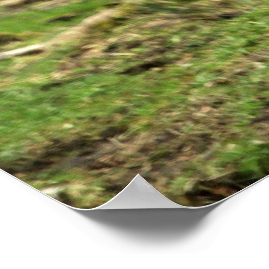 インスピレーションインディラガンジー引用文wトラインスパイアイズ ポスター (角)