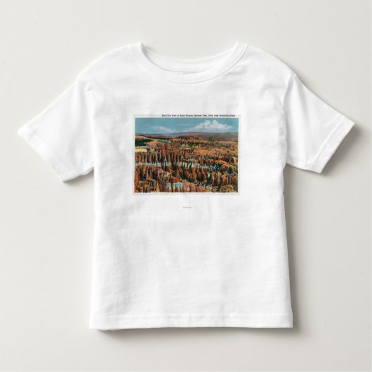 インスピレーションポイントからの公園の空中写真 トドラーTシャツ (正面)