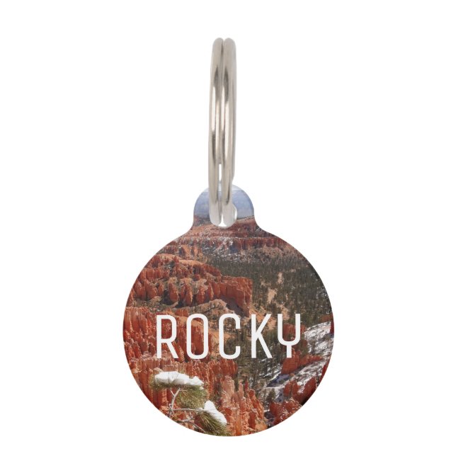 インスピレーションポイントアットブライスキャニオンI ペット　ネームタグ (正面)