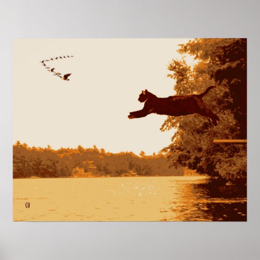 インスピレーション猫 ポスター (正面)